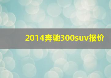 2014奔驰300suv报价