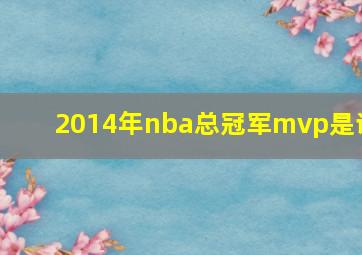 2014年nba总冠军mvp是谁