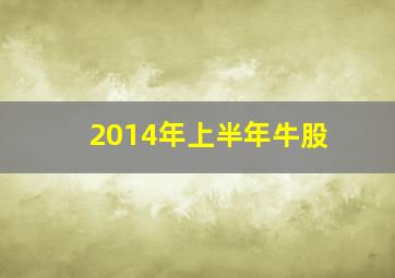 2014年上半年牛股