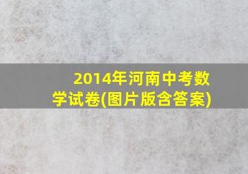 2014年河南中考数学试卷(图片版含答案)