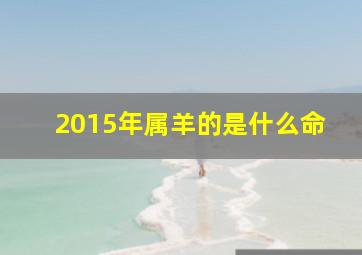 2015年属羊的是什么命