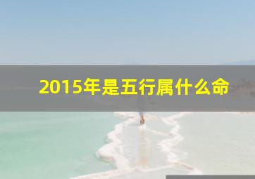 2015年是五行属什么命