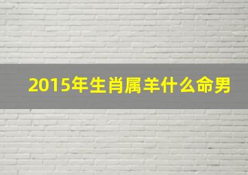 2015年生肖属羊什么命男