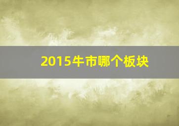 2015牛市哪个板块