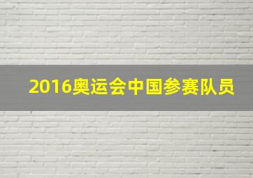 2016奥运会中国参赛队员