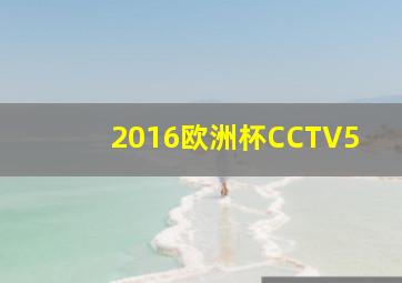 2016欧洲杯CCTV5