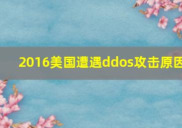 2016美国遭遇ddos攻击原因