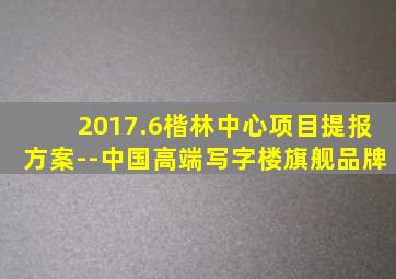 2017.6楷林中心项目提报方案--中国高端写字楼旗舰品牌