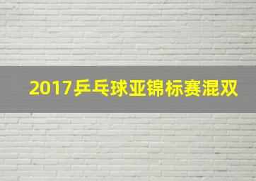 2017乒乓球亚锦标赛混双