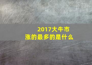 2017大牛市涨的最多的是什么