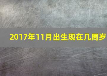 2017年11月出生现在几周岁