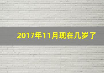 2017年11月现在几岁了