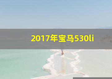 2017年宝马530li