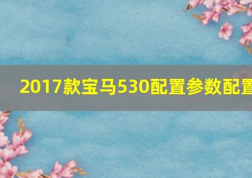 2017款宝马530配置参数配置