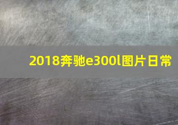 2018奔驰e300l图片日常