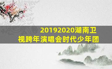 20192020湖南卫视跨年演唱会时代少年团