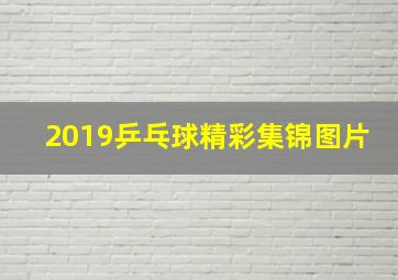 2019乒乓球精彩集锦图片