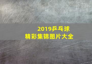 2019乒乓球精彩集锦图片大全