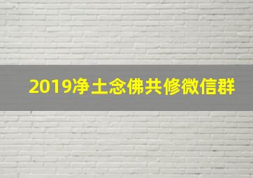 2019净土念佛共修微信群