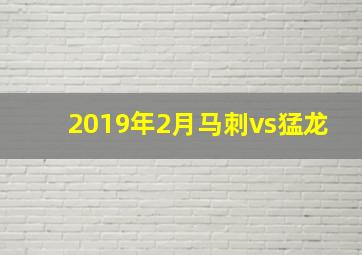 2019年2月马刺vs猛龙