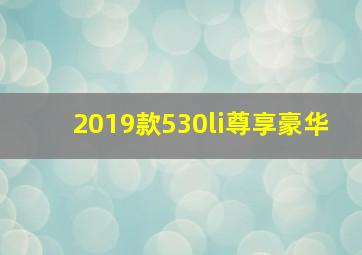 2019款530li尊享豪华