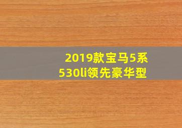 2019款宝马5系530li领先豪华型