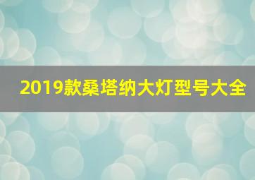 2019款桑塔纳大灯型号大全