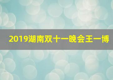 2019湖南双十一晚会王一博