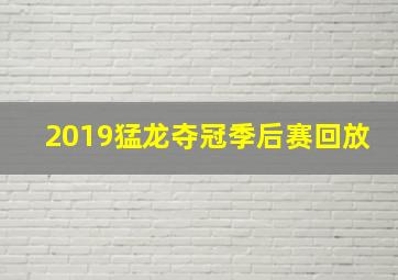 2019猛龙夺冠季后赛回放