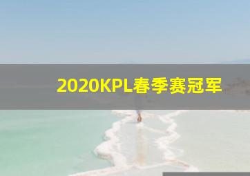 2020KPL春季赛冠军