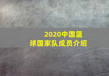 2020中国篮球国家队成员介绍