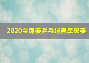 2020全锦赛乒乓球男单决赛