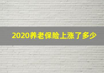 2020养老保险上涨了多少