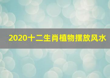 2020十二生肖植物摆放风水