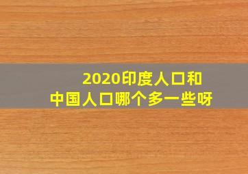 2020印度人口和中国人口哪个多一些呀