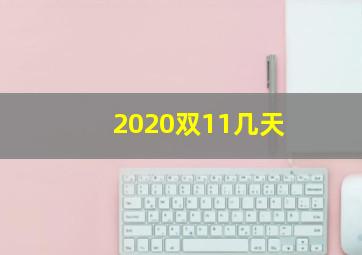 2020双11几天