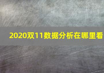 2020双11数据分析在哪里看