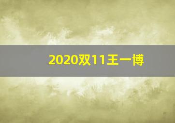 2020双11王一博