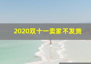 2020双十一卖家不发货