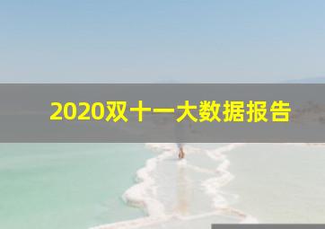 2020双十一大数据报告