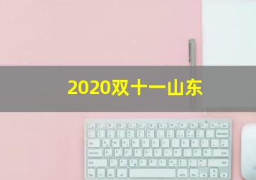 2020双十一山东