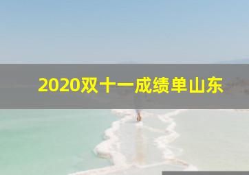 2020双十一成绩单山东