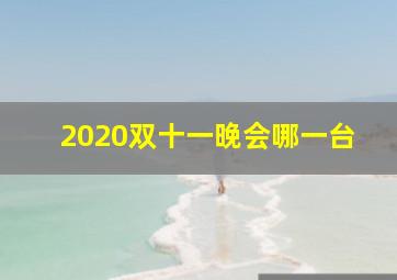 2020双十一晚会哪一台