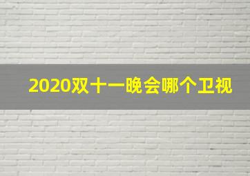 2020双十一晚会哪个卫视