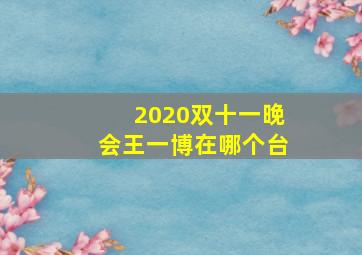 2020双十一晚会王一博在哪个台