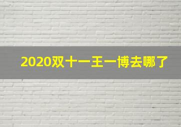 2020双十一王一博去哪了