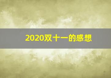 2020双十一的感想