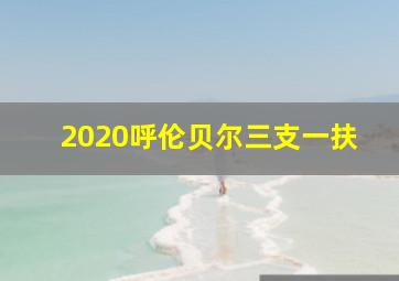 2020呼伦贝尔三支一扶