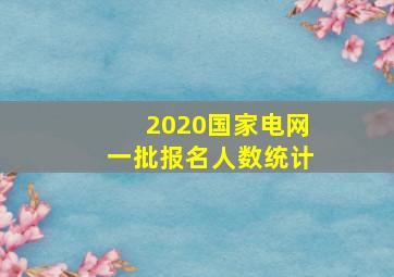 2020国家电网一批报名人数统计