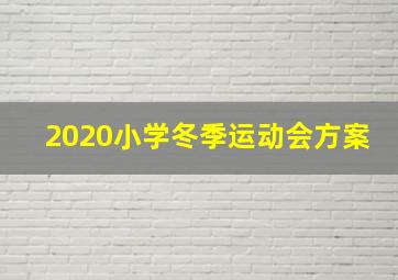 2020小学冬季运动会方案